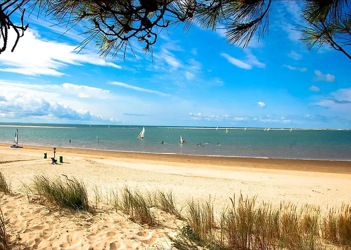 La Palmyre - Maison Mitoyenne En Pierres - Avec Piscine Privee Βίλα *